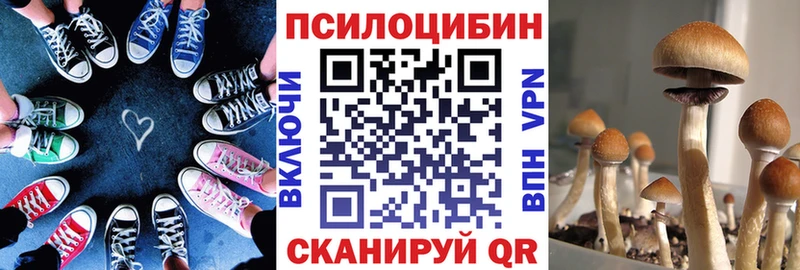 Псилоцибиновые грибы Magic Shrooms  где найти   Новое Девяткино 